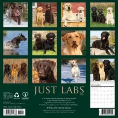 Willow Creek Press 12"x12" 2026 Labs Wall Calendar