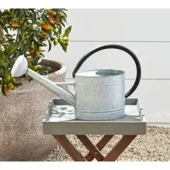 Tierra Garden Oval Aged Zinc Watering Can