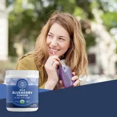 Vimergy USDA Organic Wild Blueberry Supplement Powder
