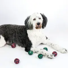 Midlee Dog Christmas Plaid Tennis Balls