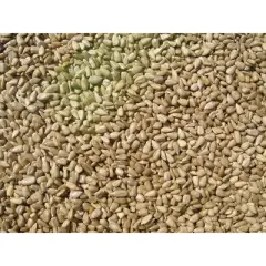 Cole's Sunflower Meats Wild Bird Seed