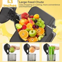 Costway Cold Press Juicer Machine Professional Slow Masticating Juicer with Reverse Button