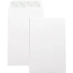 Business Source Catalog Envelopes Self Seal Plain 6"x9" 100/BX White Wove 42122
