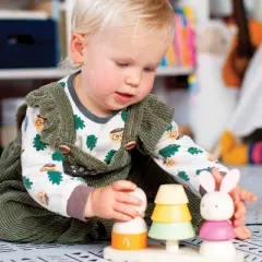 Bigjigs Toys Wooden Forest Stacker