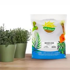 Soil Sunrise Indoor Herb Planter Potting Mix, for Container Gardening