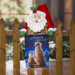 Do You See What I See Garden Lustre Flag