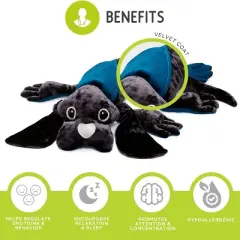 manimo Weighted Dog, Grey/Blue, 2.2 lb