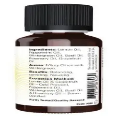 Mental Focus Oil Blend by Now Foods  -  1 fl oz Oil