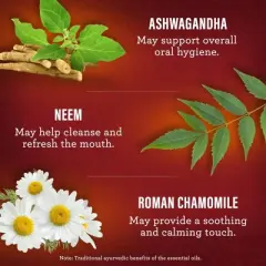 GuruNanda Coconut & Cinnamon Oil Pulling Flavor + Neem and Ashwagandha Mouthwash - 8 fl oz