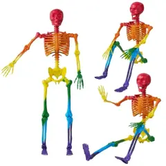 JOYIN Halloween Decor 5.6 FT Posable Skeleton for Indoor Outdoor Halloween  Decoration Giant Life Size Skeletons Spooky Scary Party Haunted House Prop