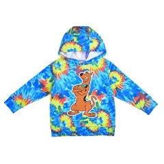 Warner Bros. Toddler Relaxed Fit Long Sleeve Hooded Basic Sweatshirt - Multicolored 4T