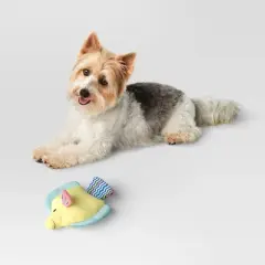 Crinkle Fish Dog Plush Toy - Sun Squad&trade;