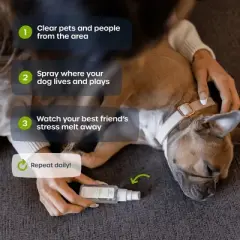 PetFriendly Mellow Calming Spray for Dogs