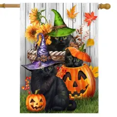 Briarwood Lane House Flag 40x28 For Outdoor Halloween Kittens and Jacks For Halloween House Flag