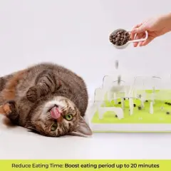 Allforpaws Interactives Cat Toy Puzzle Cat Slow Feeder Treat Maze