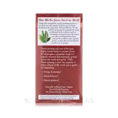 Bravo Tea Absolute Panax Ginseng Tea - 1 Box/20 Bags