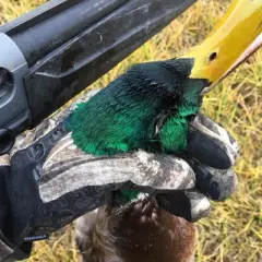 Glacier Glove 2023 Alaska Pro Full Finger Waterproof Gloves - Realtree Max-7