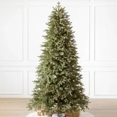 Balsam Hill 9' Clear LED Stratford Spruce Tree