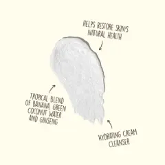 Sun Bum Daily Face Cleanser - 5 fl oz