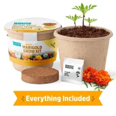 Back to the Roots Organic Marigold Flower Grow Kit with Plantable Starting Pot Soil and Seeds