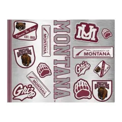 NCAA Montana Grizzlies Varsity Thirst Water Bottle - 24oz: Stainless Steel, Plastic Lid