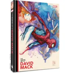 The Marvel Art of David Mack - (Hardcover)