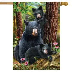 Black Bear Family Nature House Flag Nature Outdoors 28" x 40" Briarwood Lane
