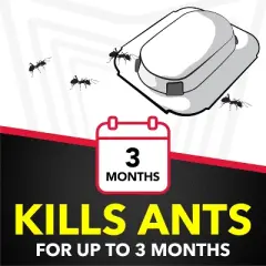 Raid Ant Baits and Indoor Ant Killer - 8ct