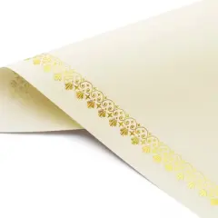 Best Paper Greetings 48 Pack Gold Foiled Blank Certificate Sheets, 2024 Graduation Diploma Award Papers for Printer, 8.5 x 11 in