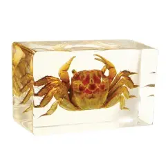 Kaplan Early Learning Animal & Plant Specimen Sets