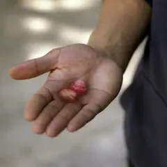 Centrum Men's 50+ Multivitamin Gummies - 140ct