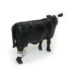 Little Buster Toys 1/16 Black With White Face Cow 500249