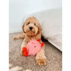 Midlee Love Bug Valentine's Day Dog Toy