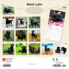 BrownTrout Black Labrador Retrievers 2026 12"x24" Hanging Square Wall Calendar Plastic-Free