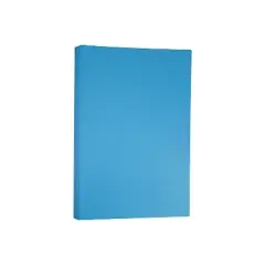 JAM Paper Ledger Matte 24lb Paper 11 x 17 Tabloid Blue Recycled 16728466