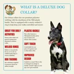 Country Brook Petz&reg; Deluxe Dog Collar - Attitude Collection - Made In The U.S.A.