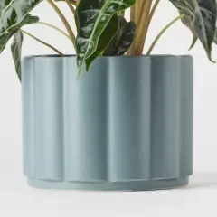 Greenwich Foliage - Good Little Garden&trade;