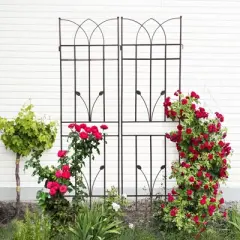 Lirago 2 Pack Metal Garden Trellis Rustproof Climbing Plant Support for Outdoor Flowers Vines Vegetables Brown Powder Coated 71"H x 17.7"W x 1"D