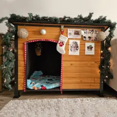 Aivituvin Large Insulated Outdoor Dog House| Liner Inside-AIR75/76/86-IN