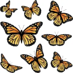 Junior's Design By Humans Monarch butterfly By AnnArtshock T-Shirt