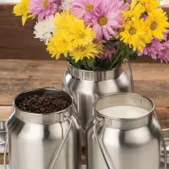 Shetler's S/S Housewares Functional and Decorative Stainless Steel Milk Can 8 3/4" H 1 Gallon