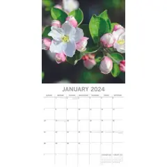 The Gifted Stationery 2024 Square Wall Calendar, Blossoms, 16-Month Floral Theme with 180 Reminder Stickers (12x12 In)