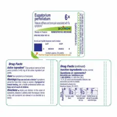 Eupatorium Perfoliatum 6X by Boiron Homeopathic Single Medicine For Pain  -  80 Pellet