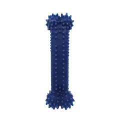 Nylabone Dental Chew Bone - Chicken Flavor(Wolf)