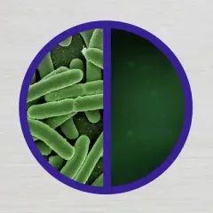 Lysol Power and Free Multi-Purpose Citrus Sparkle Cleaner Spray - 32 fl oz