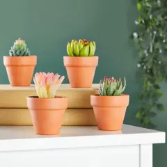 Juvale 10-Pack 2-Inch Mini Terracotta Pots with Drainage Holes for Succulents, Plants, Herbs, and Flowers, Small Clay Pot Planters