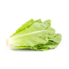 Fresh Organic Romaine Hearts - 12oz/3ct - Good & Gather&trade;