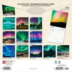 BrownTrout Aurora Borealis 2026 12"x24" Hanging Square Wall Calendar Plastic-Free