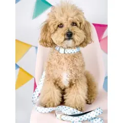 Pink Papyrus Drew Dog Leash