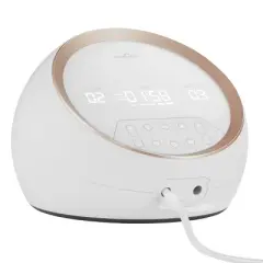 Spectra SG Synergy Gold Replacement Tubing with Adapter Ends